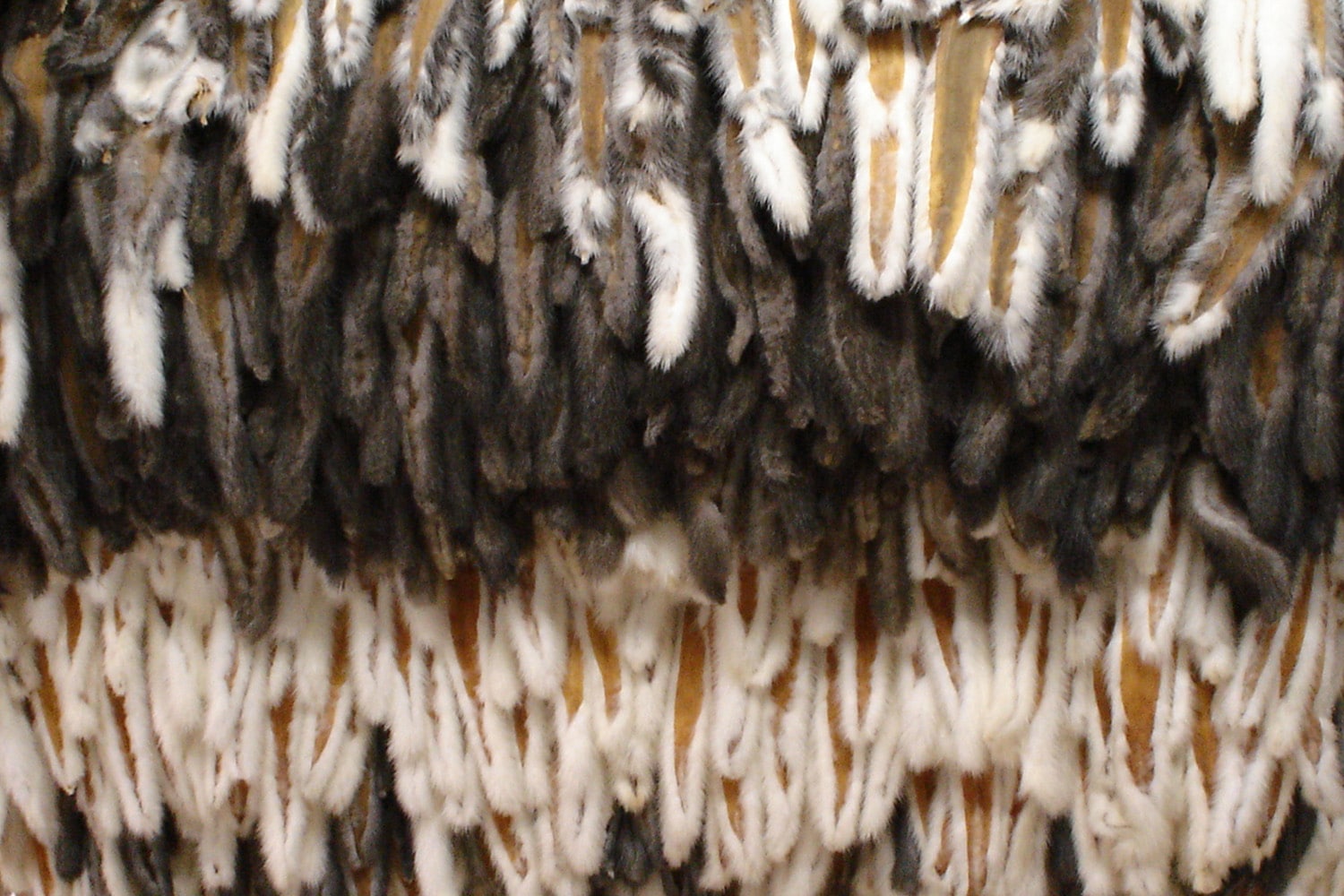 Norsk pels fra mink i store mengder