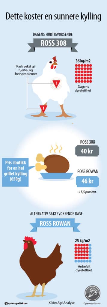 Grafikk ross 308 vs ross rowan