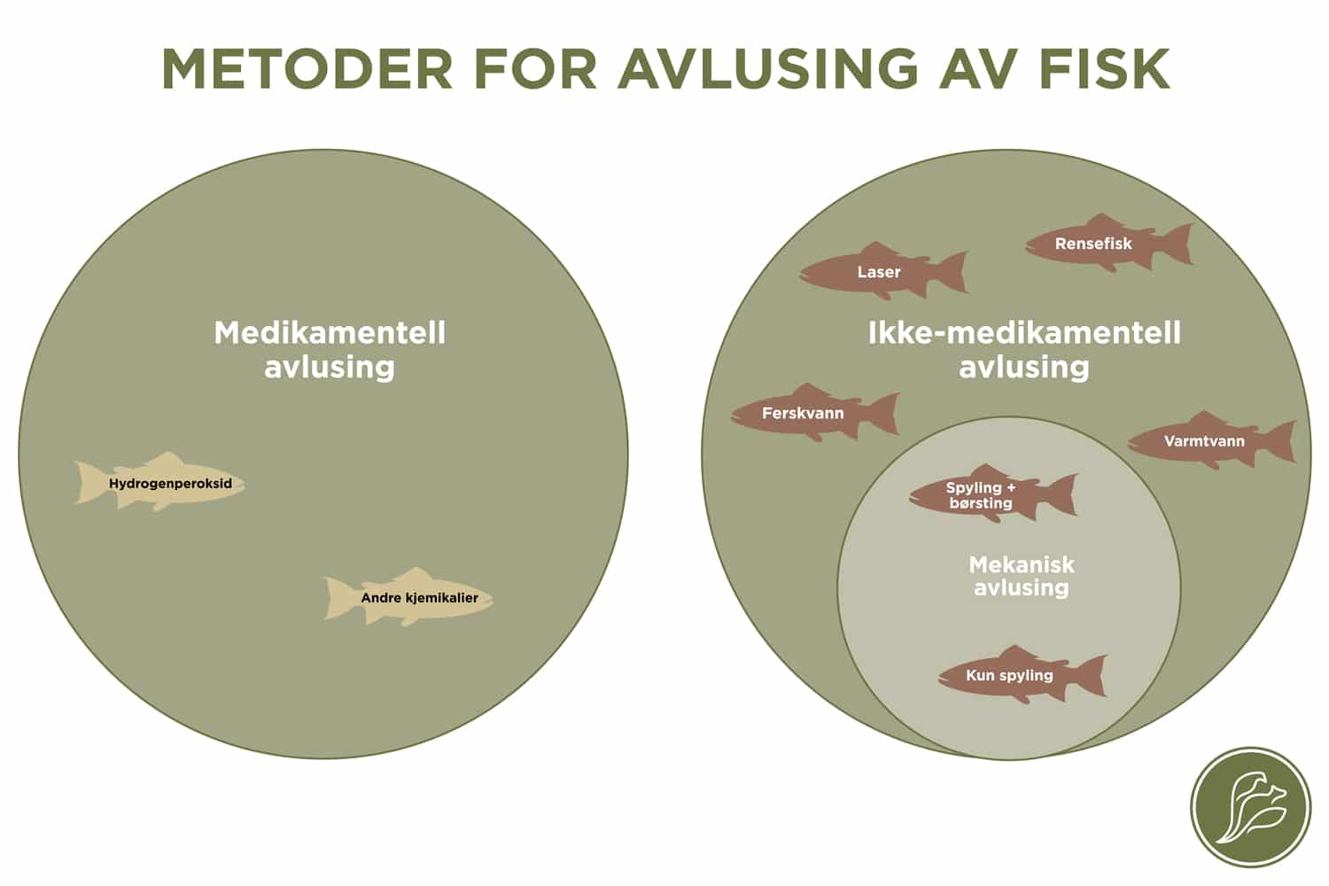 Infografikk om avlusing