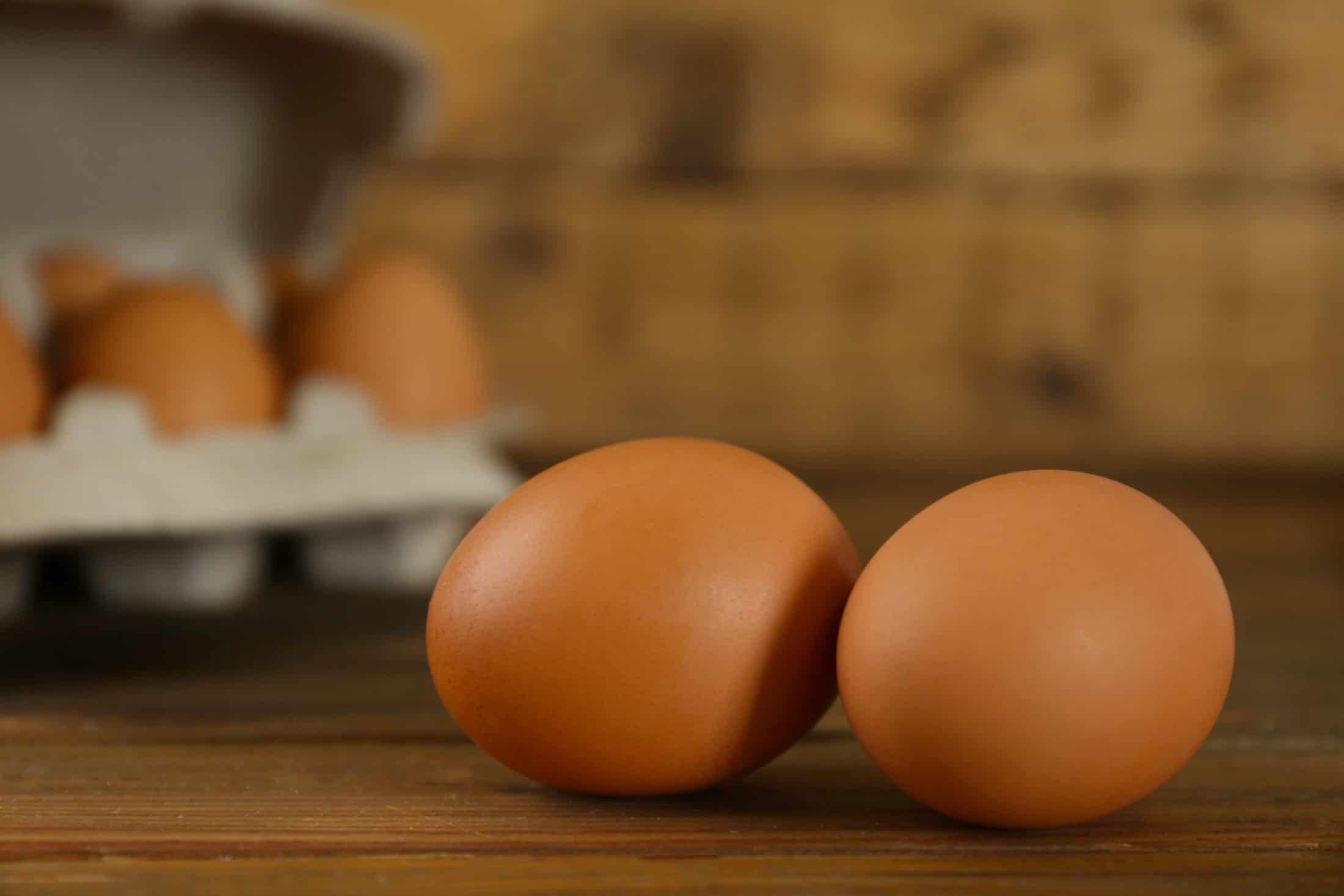Brune egg