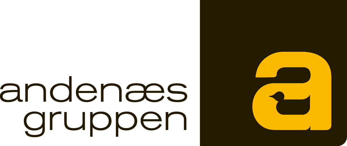 Andenaes logo