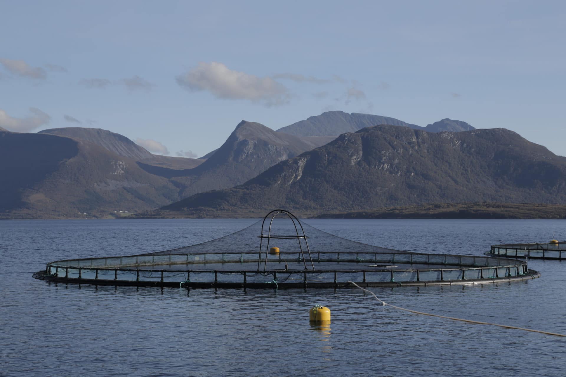 Oversiktsbilde over laksemerde som er et eksempel på fiskeoppdrett i Norge