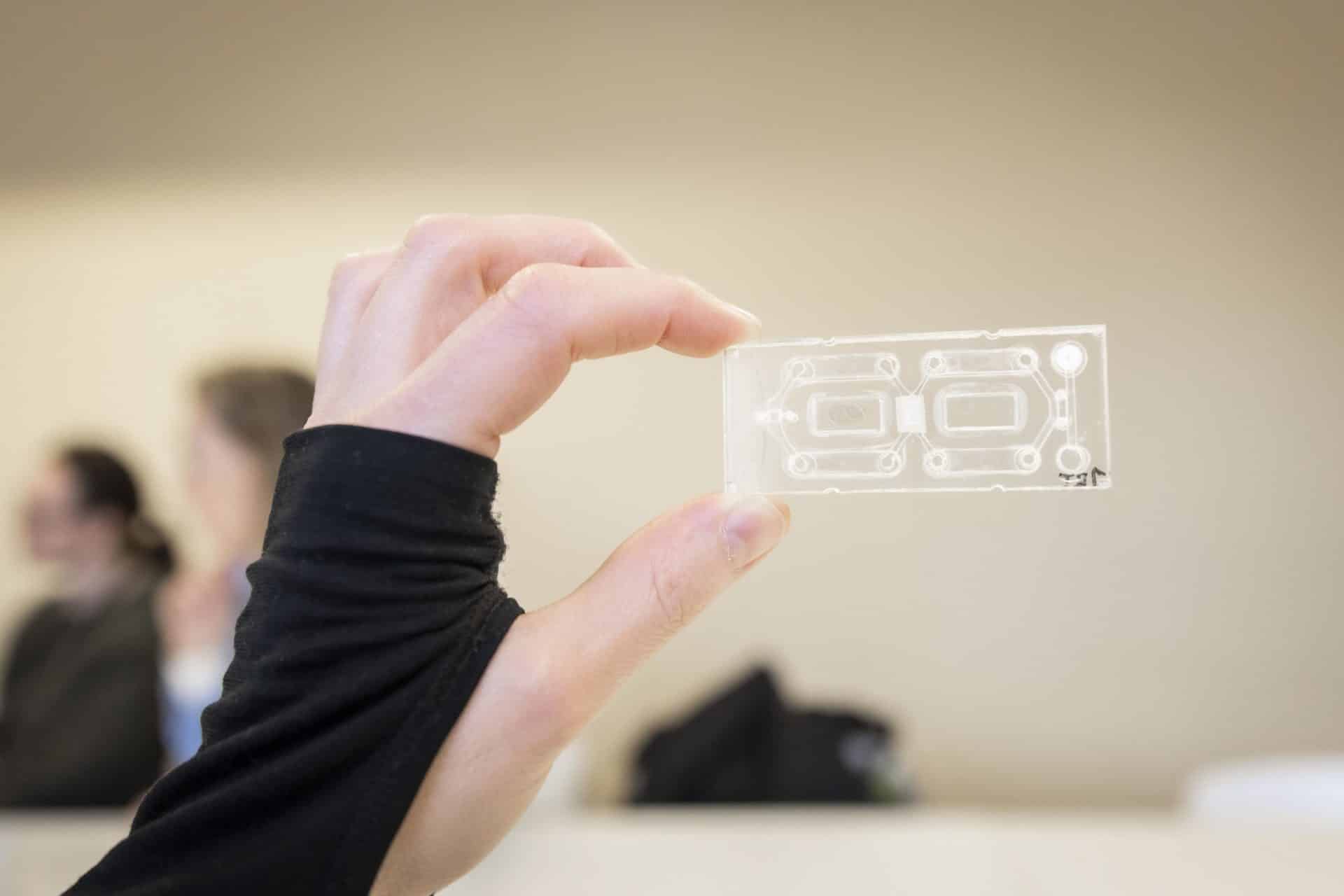 En tom human-on-a-chip som kan erstatte dyreforsøk