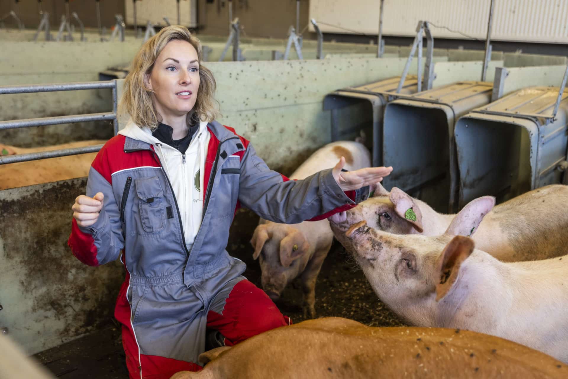 Veterinær Céline Løstegård i Dyrevernalliansen og gris.